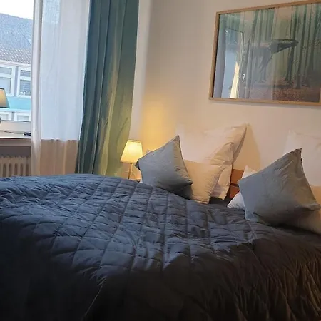 Oase Im Grossstadt Dschungel